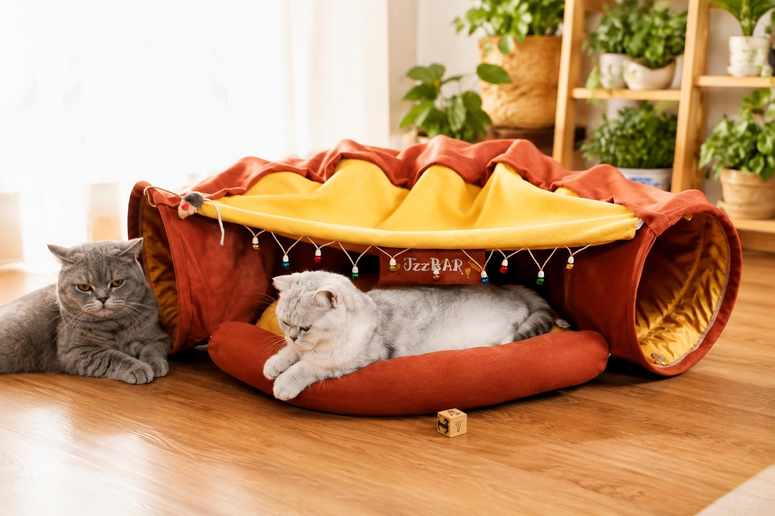 House Of Pets 2-in-1 Cat Bed and Tunnel, Scratch-Resistant Canvas, Collapsible Washable Cushion, Indoor Cozy Play & Rest Space for Small to Large Cats β Jazz Terracotta 1