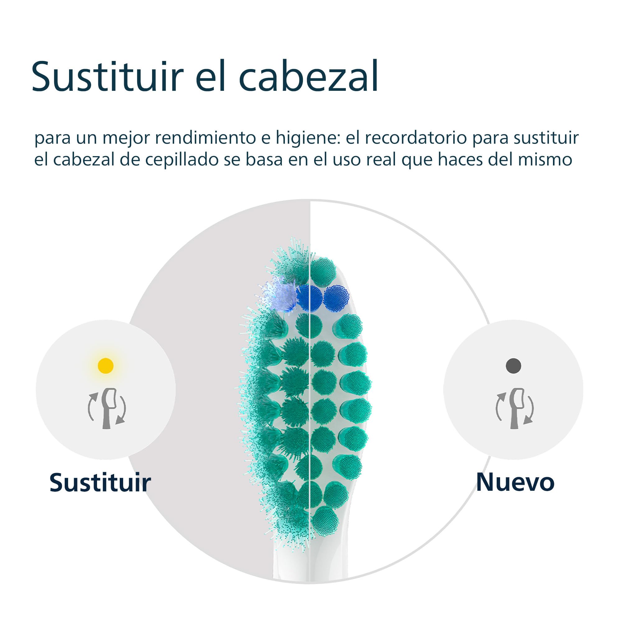 Philips Sonicare C1 ProResults, cabezales de cepillo dental de repuesto originales, blanco, paquete de 4, HX6014/87