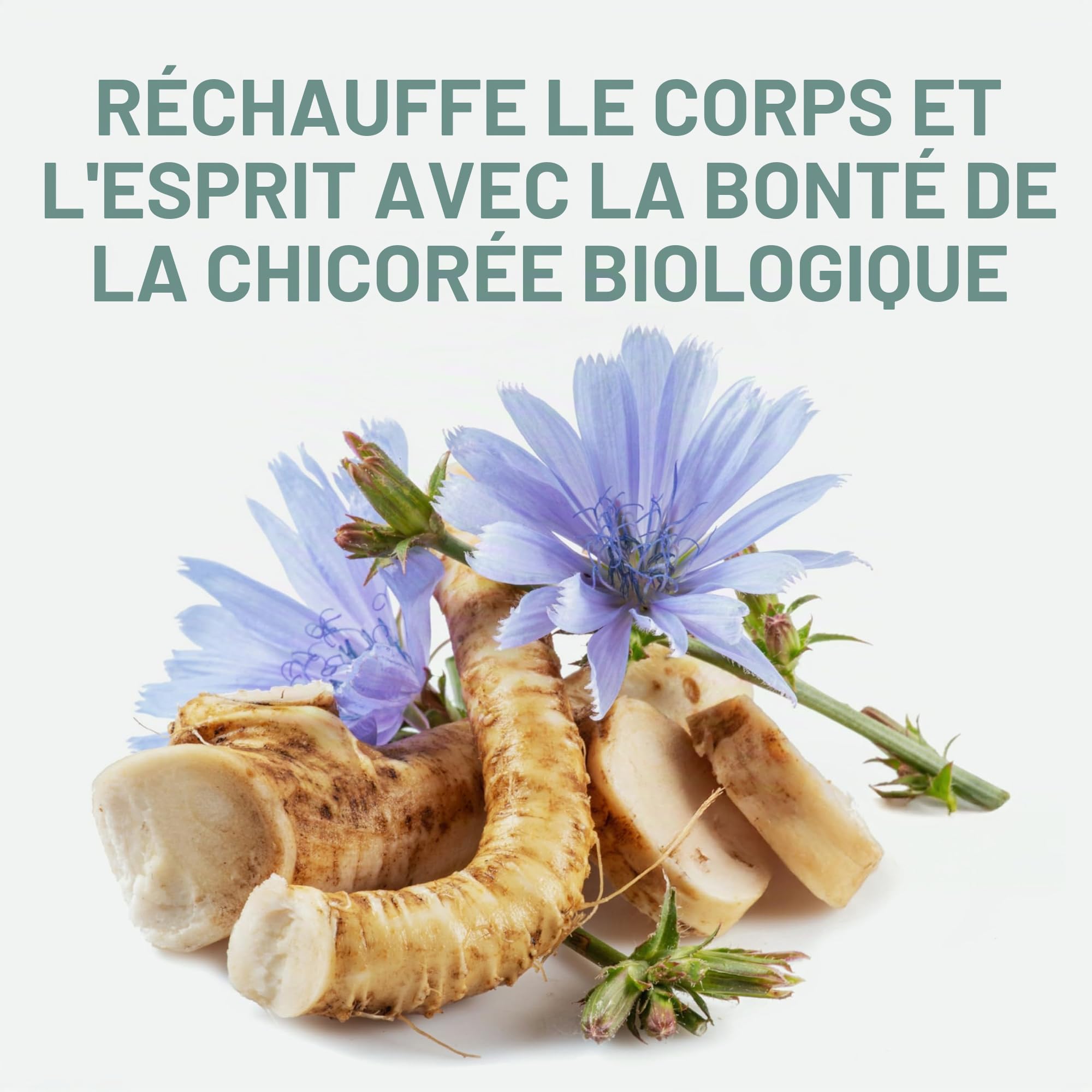 Probios - Chicorée Biologique, torréfiée et moulue en Italie. Cicoria tostata., Pack de 6 x 500g