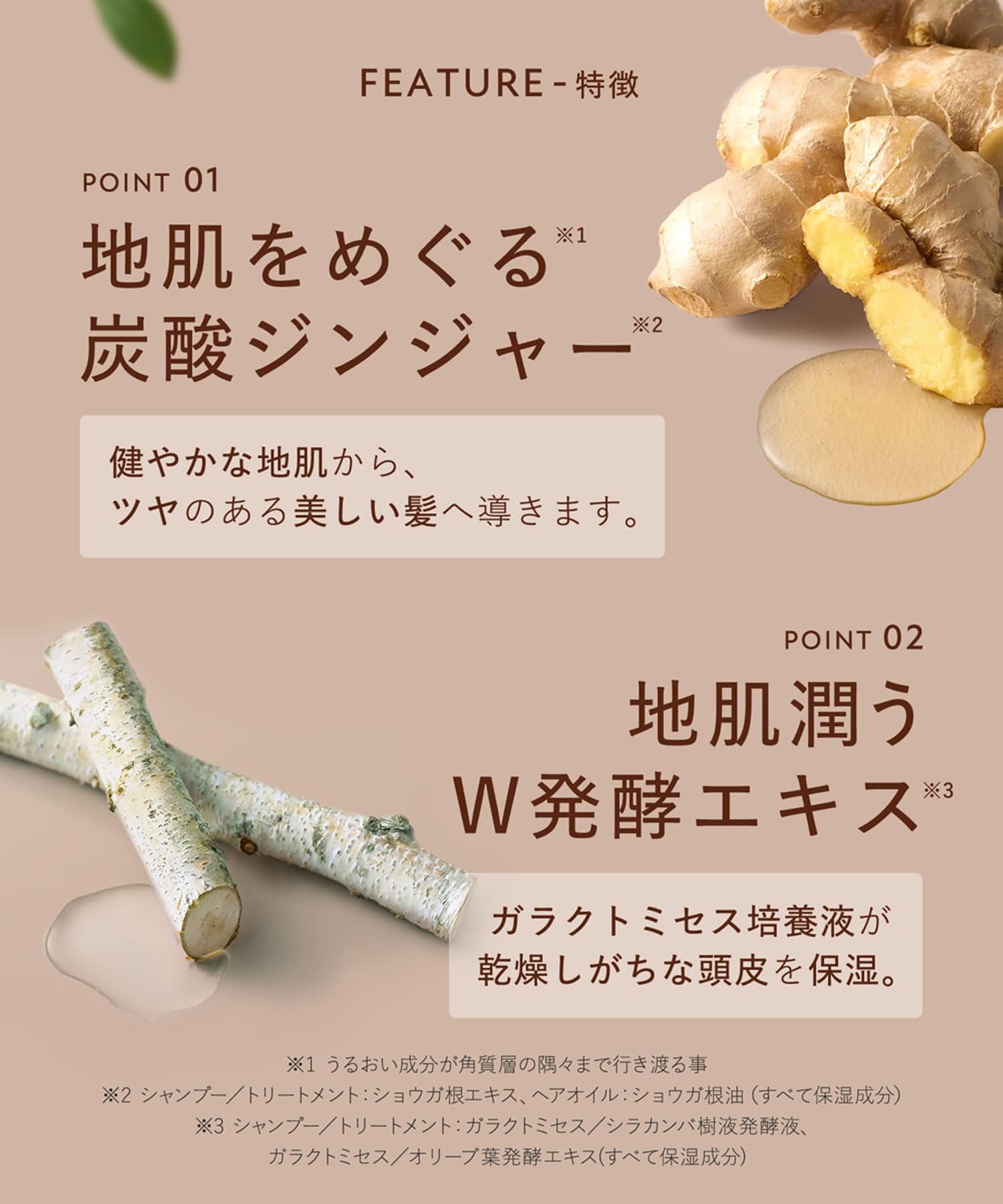 Amazon | 【 2026年 福袋 】 BOTANIST ボタニスト 福袋 ROOTH