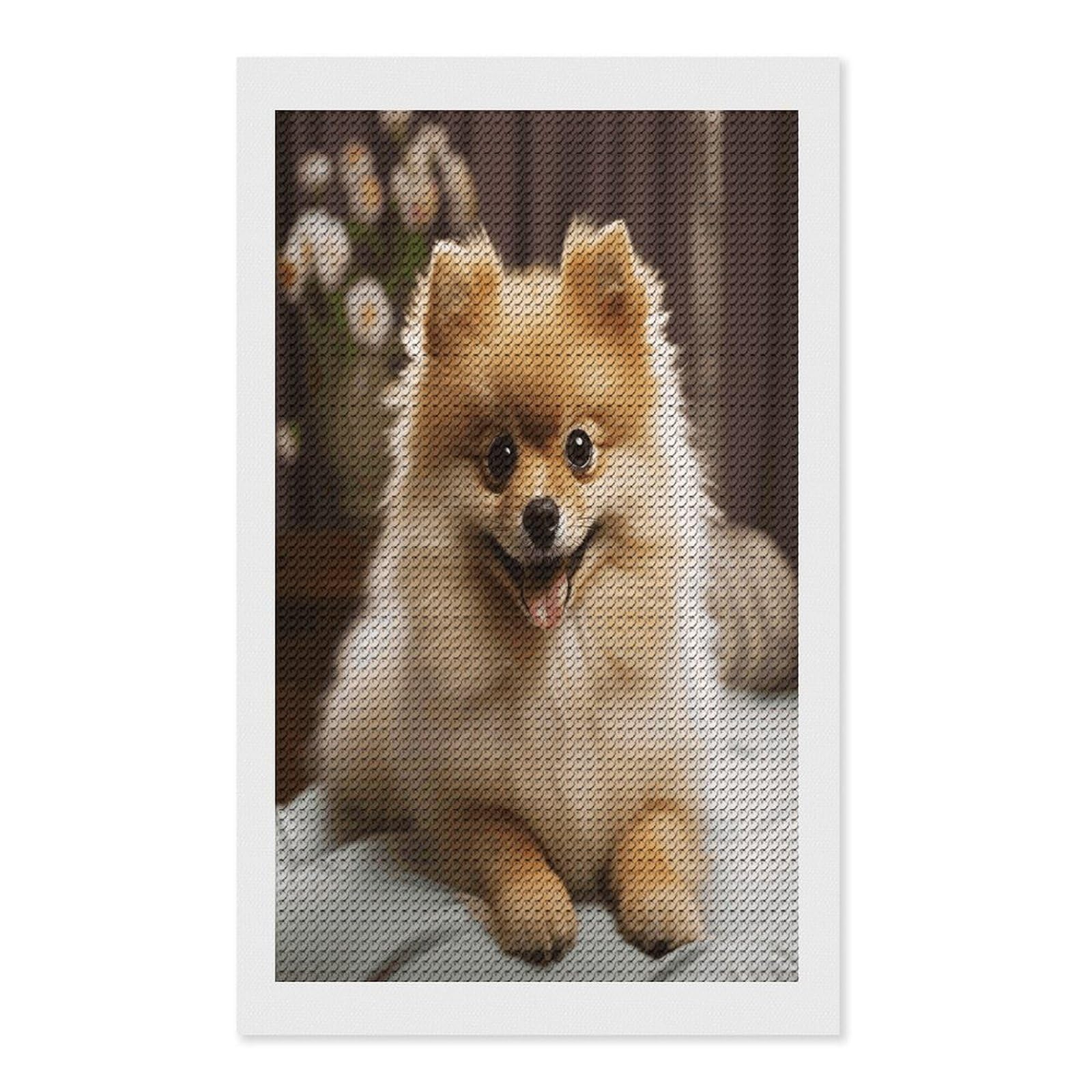 VstaDank Cute Pomeranian Dog Diamond Painting Kits Exquisite DIY Full Round Drill Diamond Dots Painting for Adults Beginner Diamond Photo Paint with Diamond Picture Art Wall Decor 12"x20"