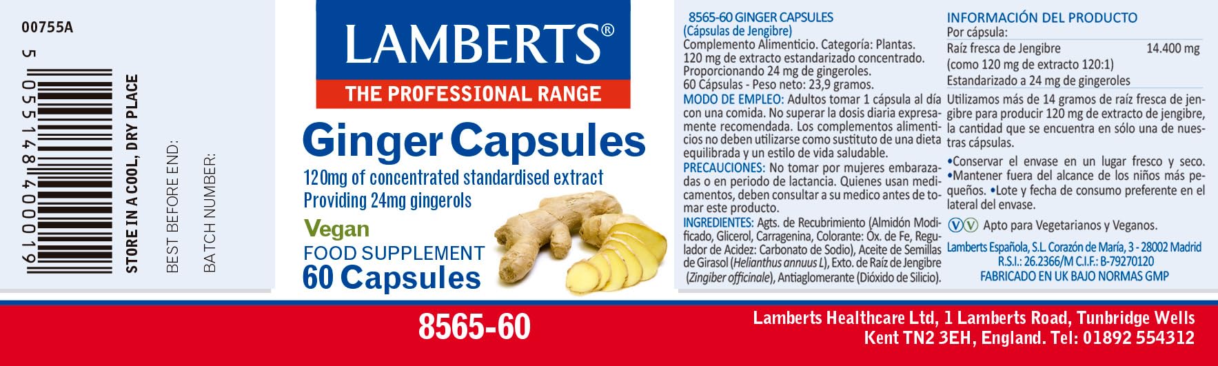 Lamberts Jengibre 120 mg | Extracto Concentrado (14.400 mg equivalente) | Digestión y Bienestar Digestivo | 60 Cápsulas | 60 Días | Calidad Farmacéutica GMP