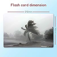 Vista 5 de Hungry brain Educativas - Tarjetas flash de naturaleza en movimiento para niños pequeños Tarjetas flash de aprendizaje temprano para el desarrollo