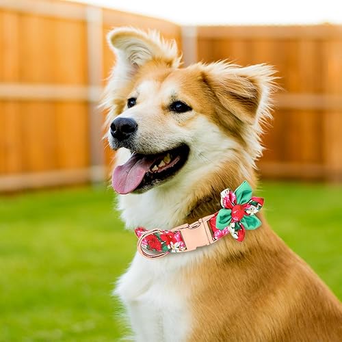 Miniatura 8 de Girl Dog Collar with Flower Adjustable Cute Dog Collar Soft  Durable Floral Dog Collar for Small Medium Large Dogs Sturdy Dog Collar with Safety