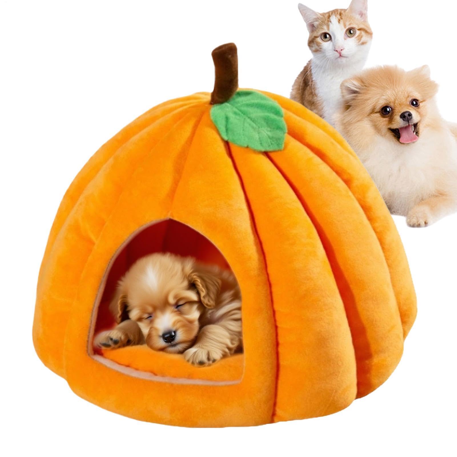 Cama calabaza para gato contra el frío del suelo cueva de felpa con cojín mullido