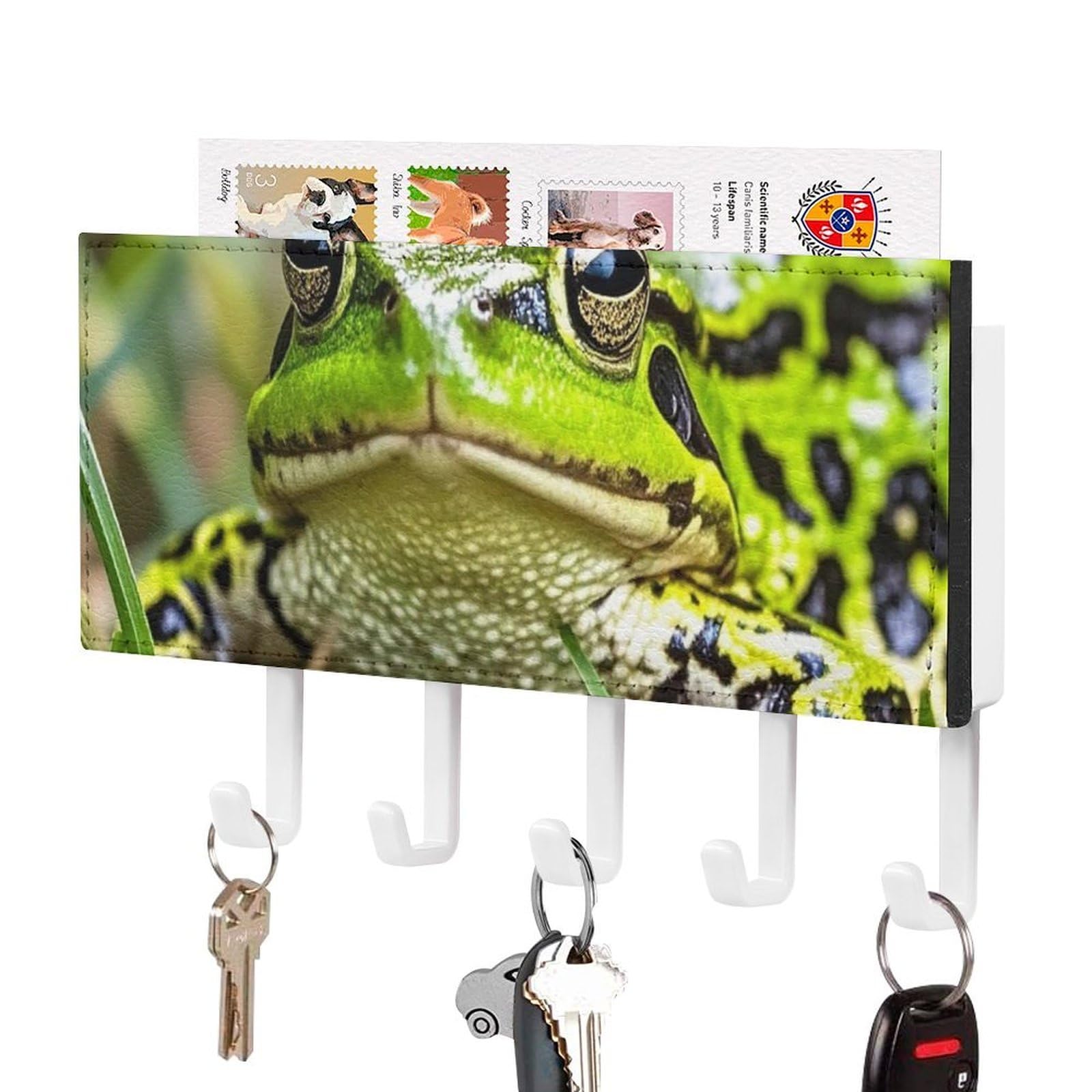 FekiLoot Frog Key Holder Wall Mount Key Hanger with 5 Hooks Decorative Key Rack Hanging Key Hooks with Mail Organizer Key Holder for Wall Living Room Kitchen Bathroom Hallway White