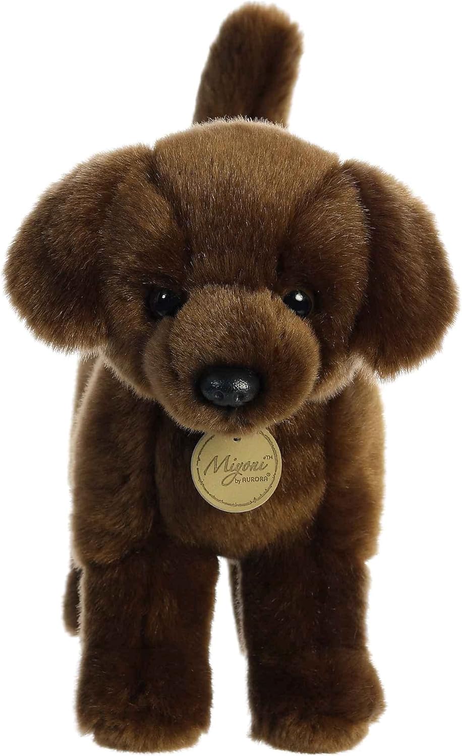 Aurora - Miyoni - 10" Chocolate Labrador