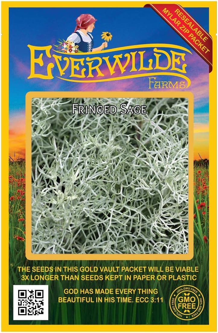Everwilde Farms - 1/4 Lb Fringed Sage Native Wildflower Seeds - Gold Vault