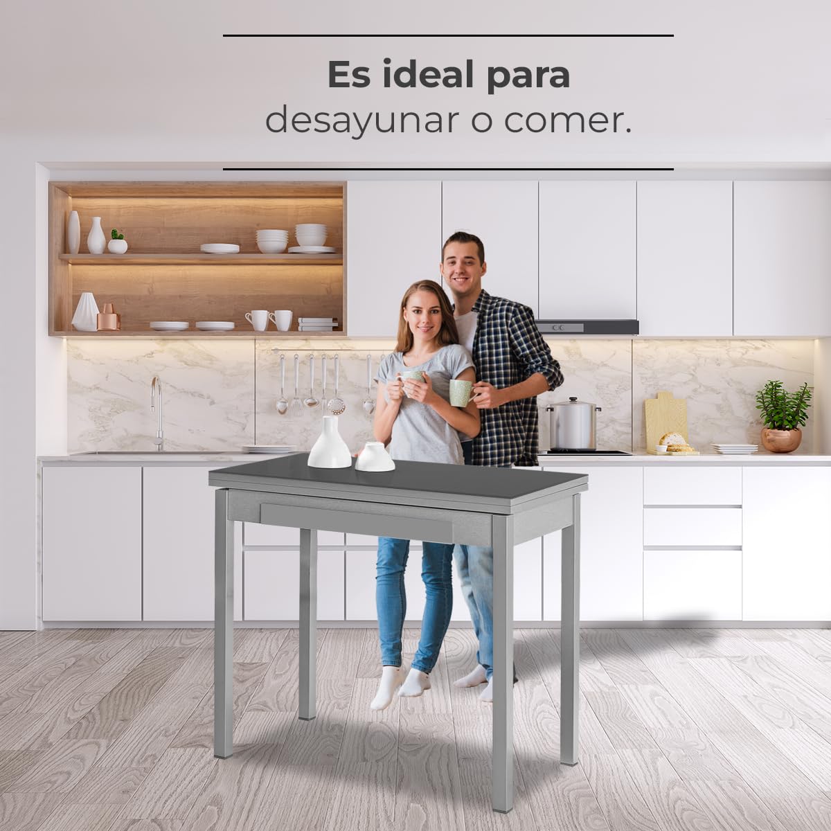 ASTIMESA Mesa de Cocina Tipo Libro 80x40cm Grafito