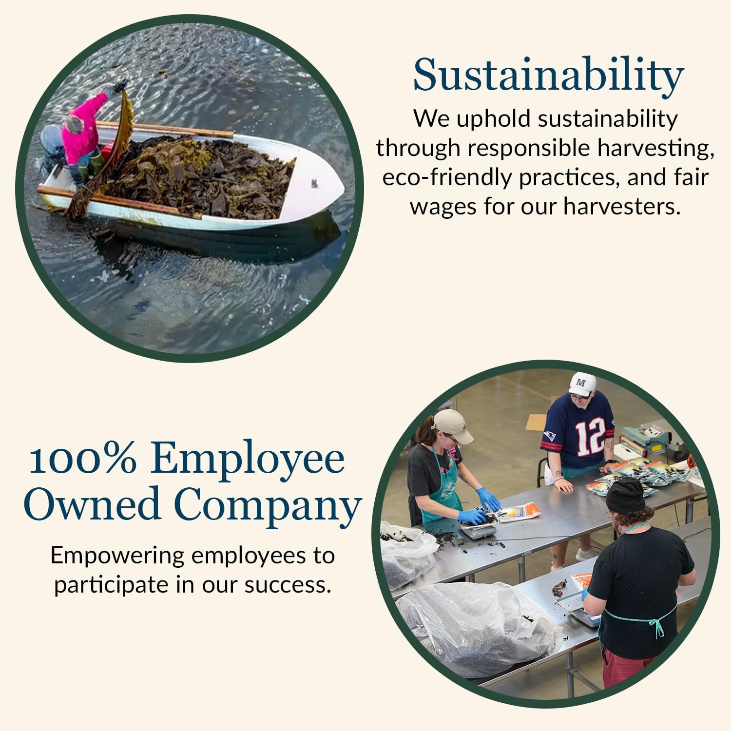 Maine Coast Sea Vegetables Organic Dulse Flakes | Seaweed Snacks | Rich in Iodine, Protein & Minerals | Harvested from North Atlantic | Great for Salads, Soup & Smoothies | 4 oz (Pack of 1)