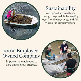 Maine Coast Sea Vegetables Organic Dulse Whole Leaf Bag, Nutritious Food & Seaweed Snacks, Rich in Iodine, North Atlantic Harvest, Great for Salads, Soup, Smoothies, 2 oz, 6-Pack