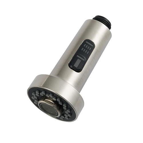 Kraus KFS-1SS Dual Function Kitchen Faucet Sprayer