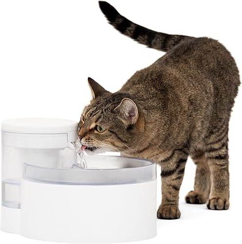 PetSafe Outlast - Fuente de agua para gatos sin bombeo de 60 oz1.7 litros, dispensador de agua interior para gatos, apto para lavavajillas, fácil