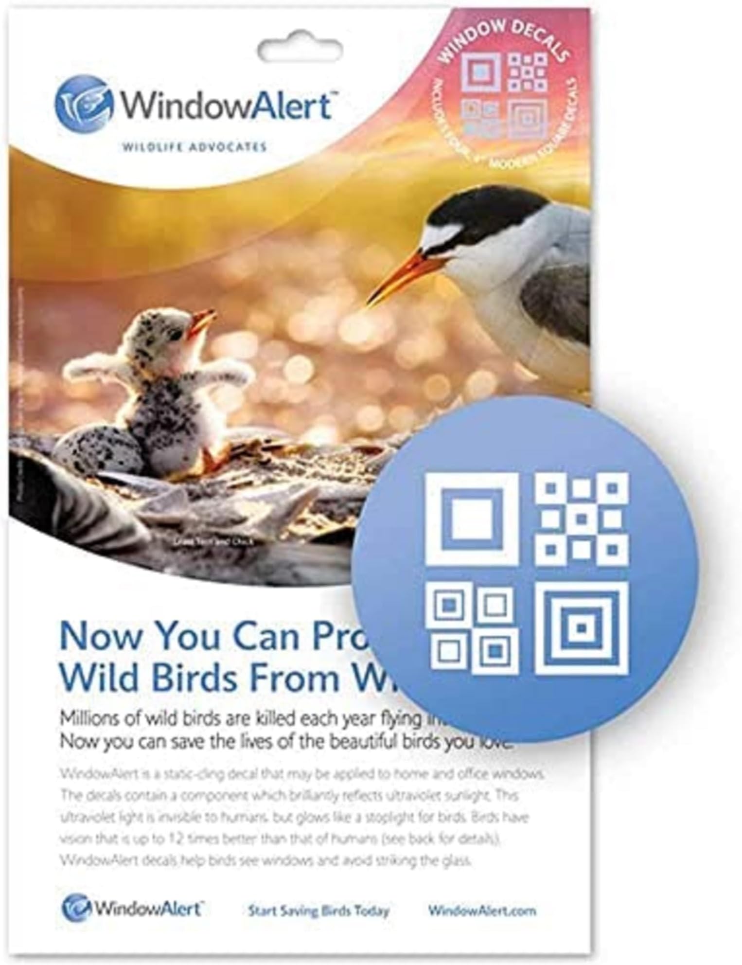 WindowAlert Modern Square Anti-Collision Decal - UV-Reflective Window Decal to Protect Wild Birds from Glass Collisions - Made in The USA