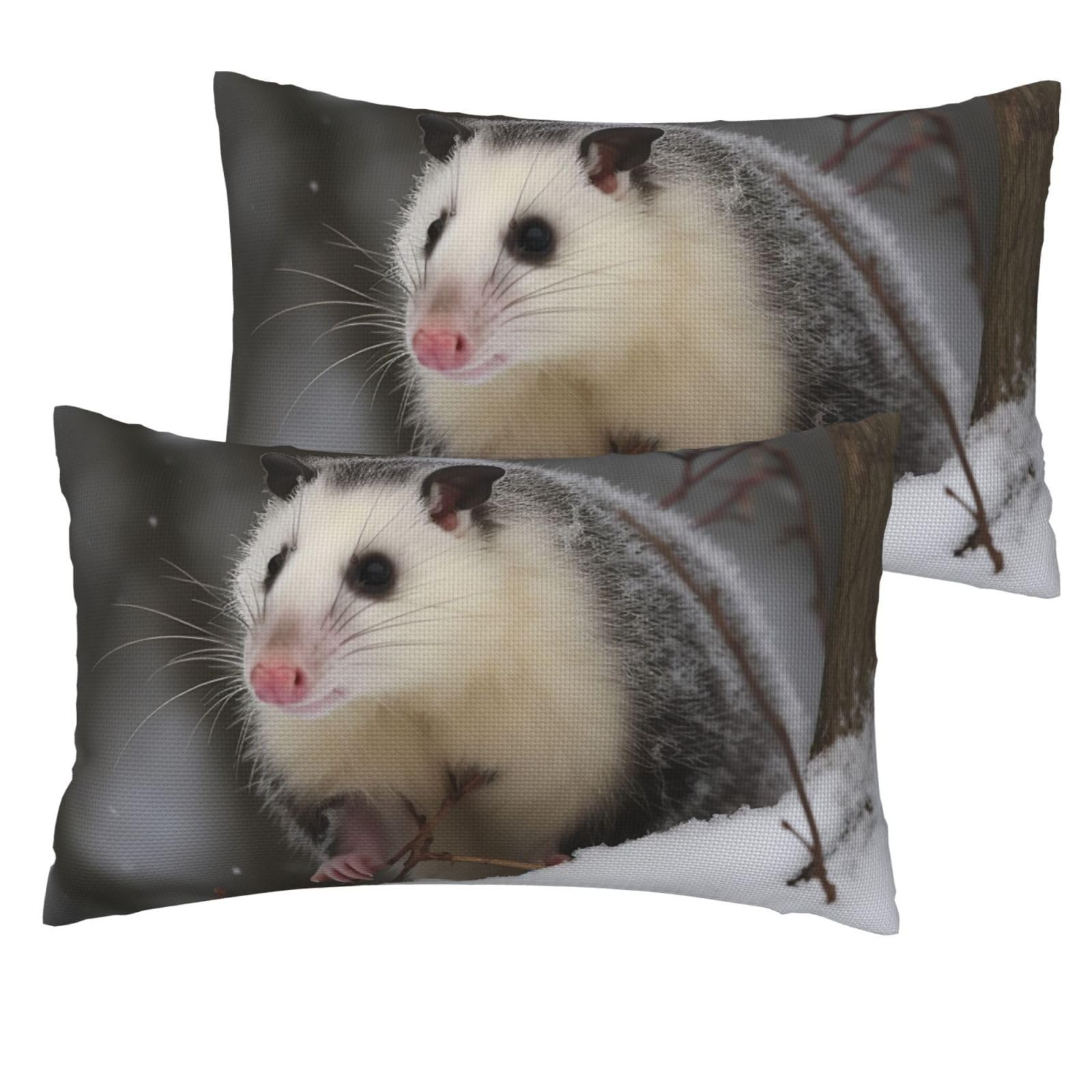 2 Pack Pillow Cases with Hidden Zipper, Soft Breathable Decorative Pillow Covers for Hair and Skin, Opossum in Snow Pillowcases 12"x20" Bed Pillow Protectors Cover for Sleeping Gifts