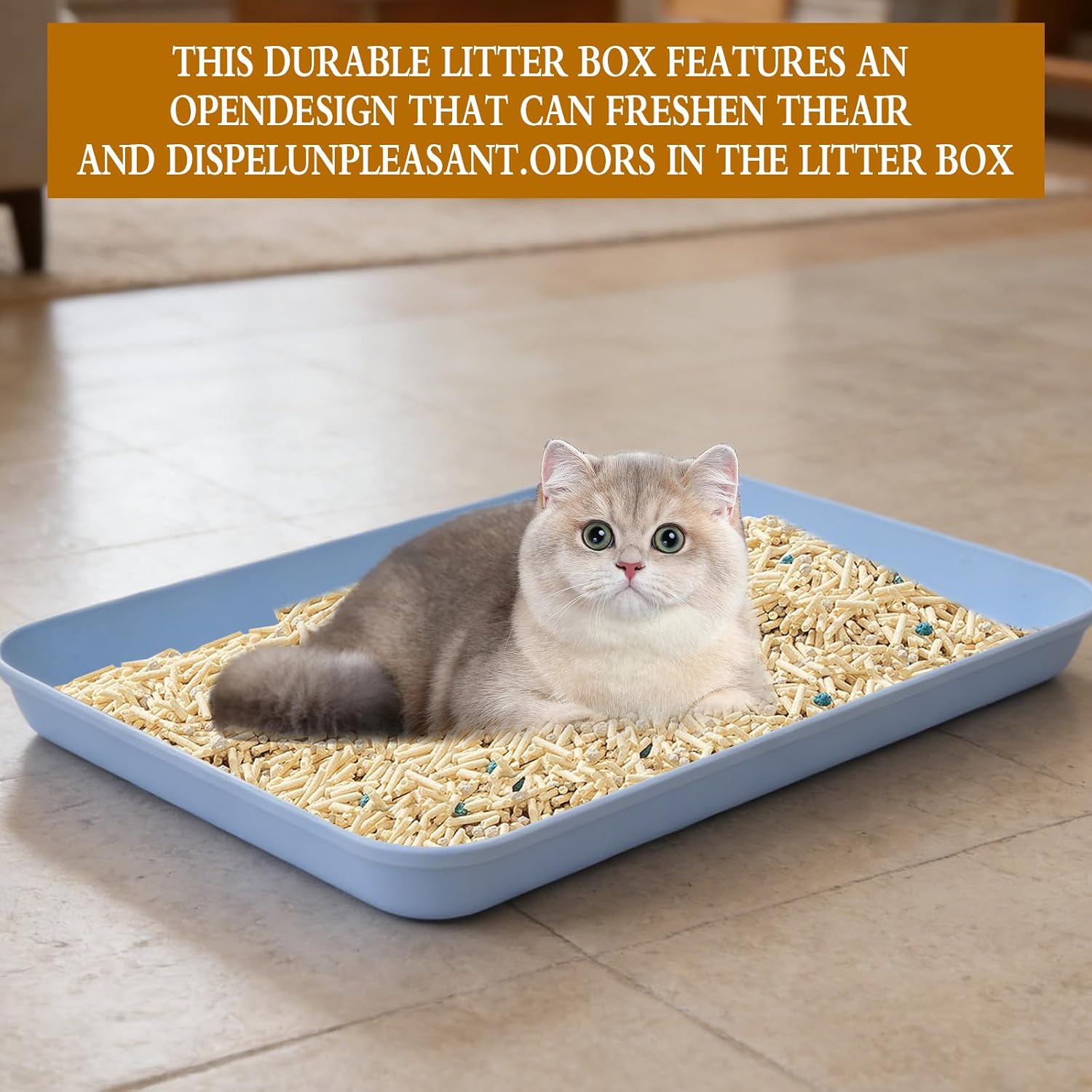 5 Pcs Medium Open Cat Litter Box Kitten Litter Pan with 5 Scooper - 15 x 10.4 x 1.6 Inch Low Entry Plastic Cat Litter Tray Travel Toilet for Cats Puppies Bunnies Guinea Pig, 5 Colors