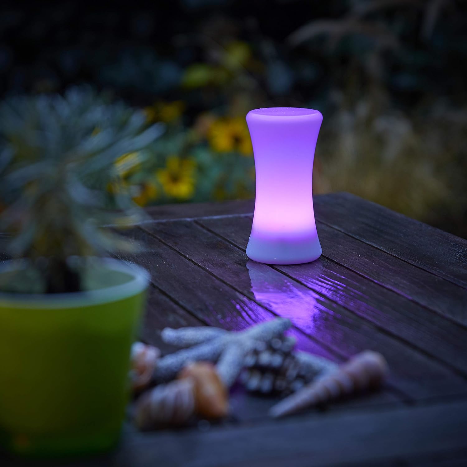 Northpoint LED light displaying a purple color, placed outdoors on a wooden table with decorative shells and a plant.