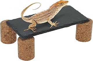 CAPASTEC Rocas de pizarra para reptiles, plataforma para tomar el sol para reptiles, mejora la actividad de escalada, color negro y gris, 1 juego