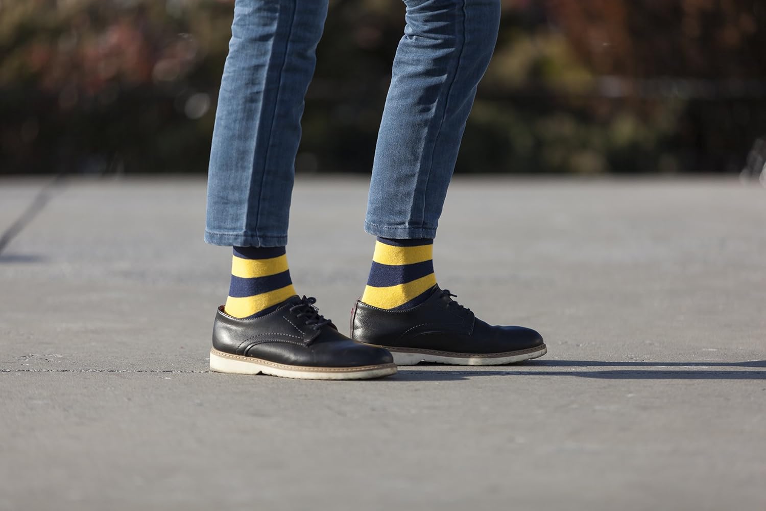 socks n socks-Mens 5pair Luxury Colorful Cotton Fun Novelty Dress Socks Gift Box