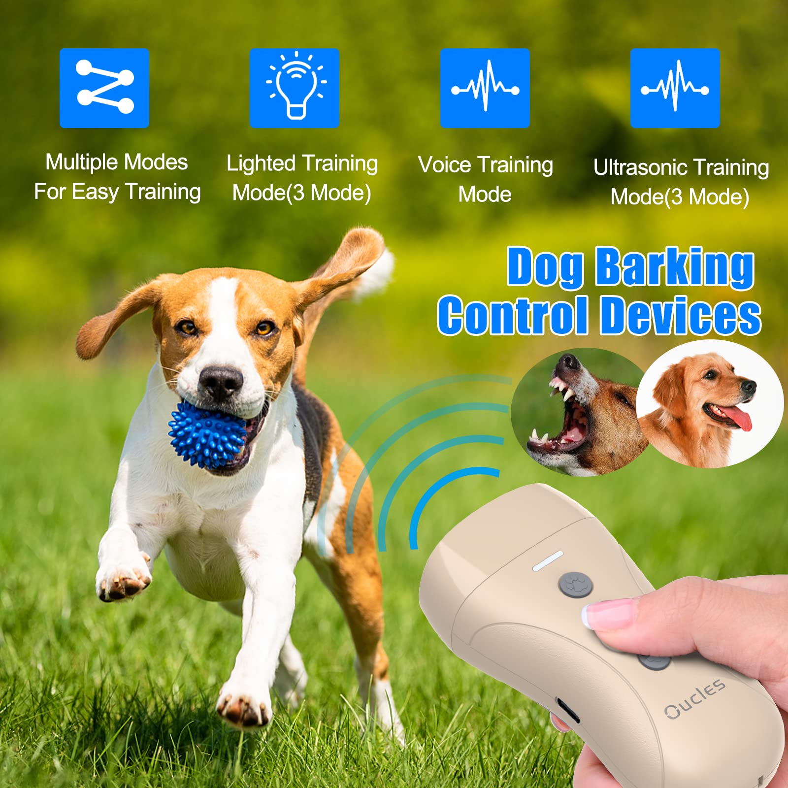 Why Do Dogs Bark At Animals On Tv