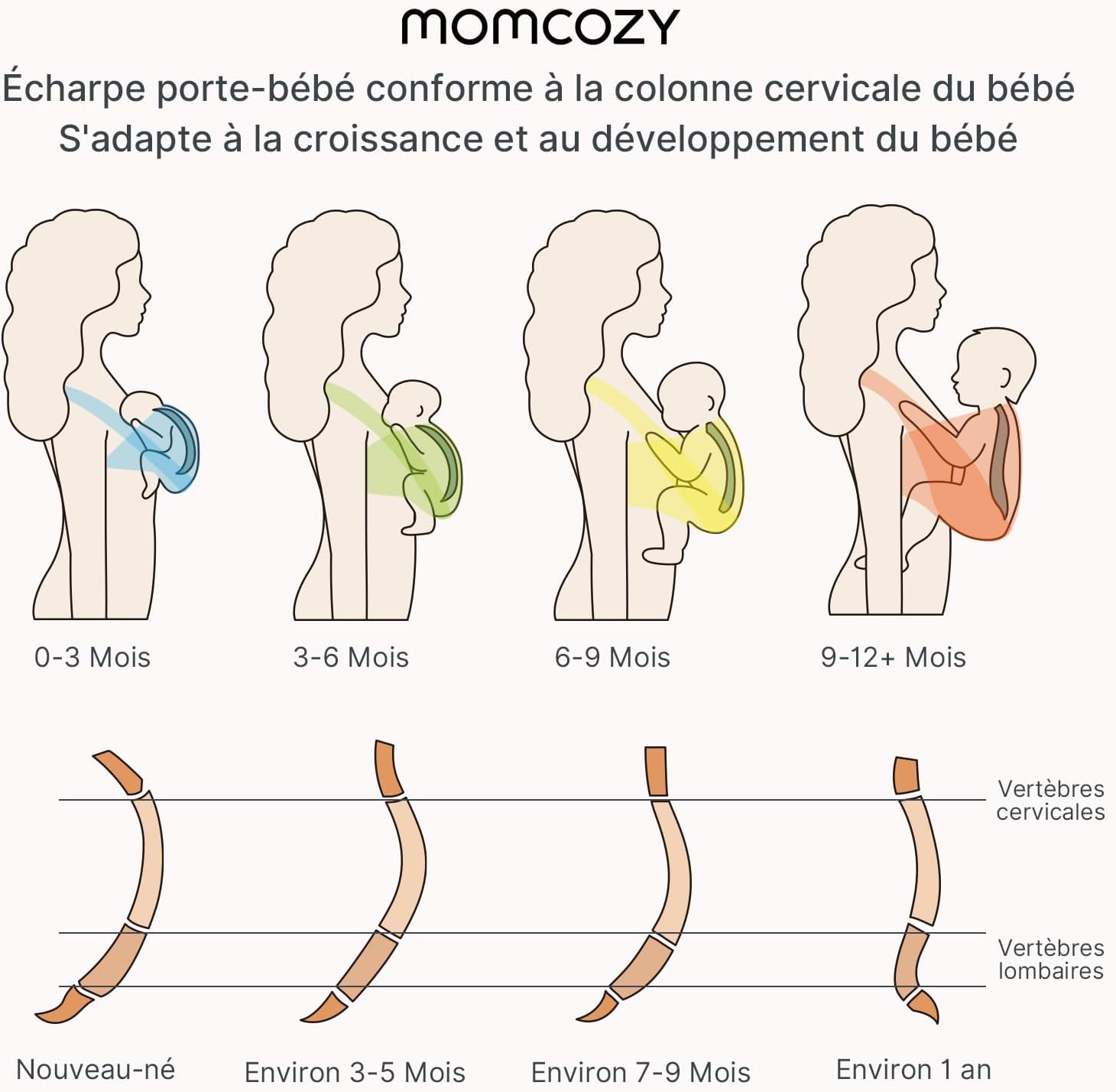 Diagram showing ergonomic baby carrying positions for different age groups and spine development