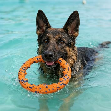 Dog Frisbee Ring Toy, Tough Chew-Resistant Flying Disc for Medium Large Dogs, Water Floating Fetch Training Ring, Orange