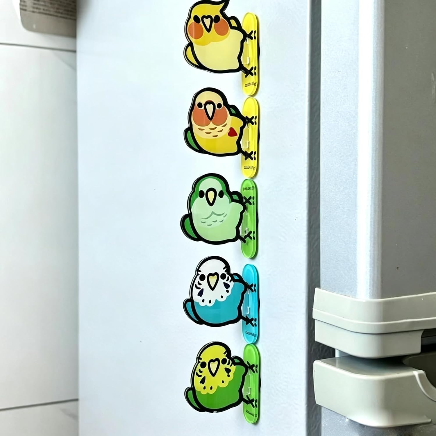 5Pcs Cute Parrot Fridge Magnets Cartoon Cockatiel Budgie Bird