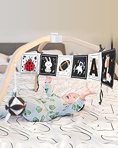 High Contrast Black and White Baby Toys for Newborn 0-6 Months  Contrast Cards & Sensory Baby Book with Mirror  Tummy Time Infant Toys for Visual Stimulation, Early Learning & Brain Development