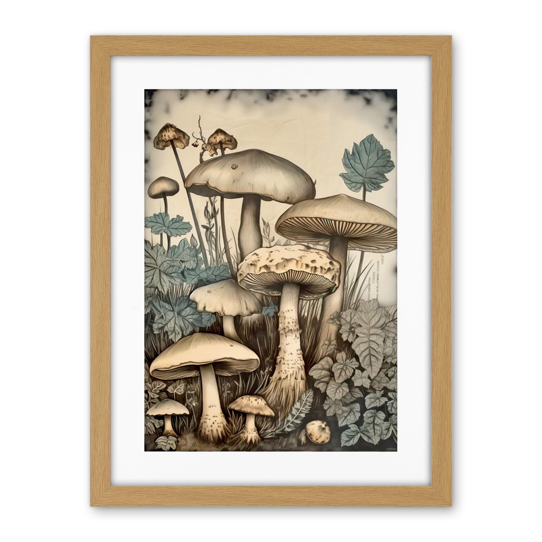Artery8 Mushroom Fungi Watercolour Vintage Cottagecore Aesthetic Rustic Decor Artwork Framed Wall Art Print 18X24 Inch
