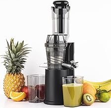 H.Koenig Estrattore di succo Verticale Compatto 0,8L GSX16 Acciaio Inox, Slow Juicer Vitamina+ Senza BPA, Ampio Beccuccio di Ingresso, Rotazione Lenta 60giri/min, Silenzioso, Sistema Inverso, 250W