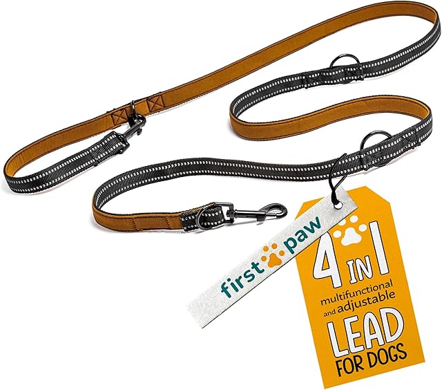 FIRSTPAW Double Ended Lead for Dogs 2m - Padded for Comfort - Multifunctional Training lead for Small Medium Large Dogs - No Pull Dog Lead Adjustable to 4 Lengths - Easy to Use Puppy Training lead