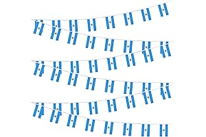 Pack of 50 Argentine Mini String Banner Flags (38 Flags, 50 Feet)