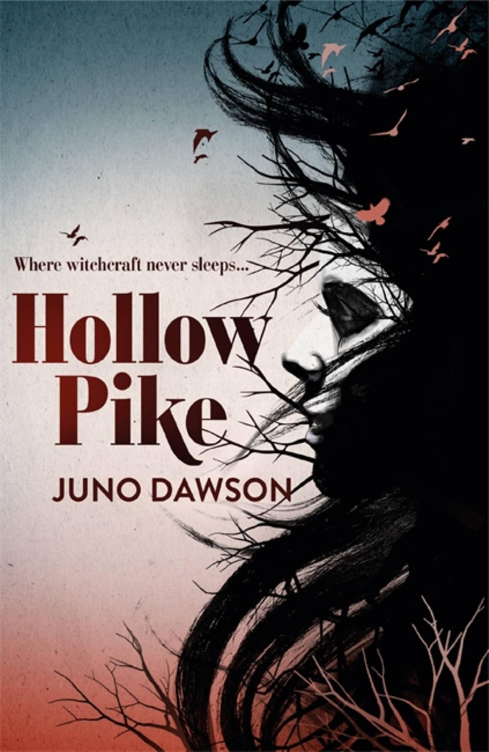 Hollow Pike,Juno Dawson- 9781780621289
