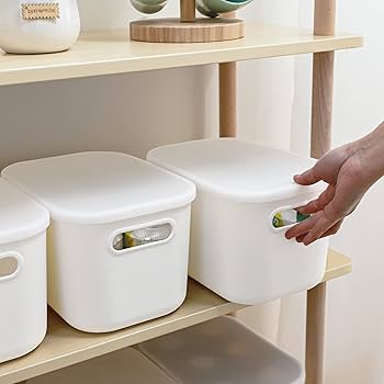 ホワイト プラスチック ストレージボックス 2個 ホワイト プラスチック ストレージボックス 2個 ホワイト