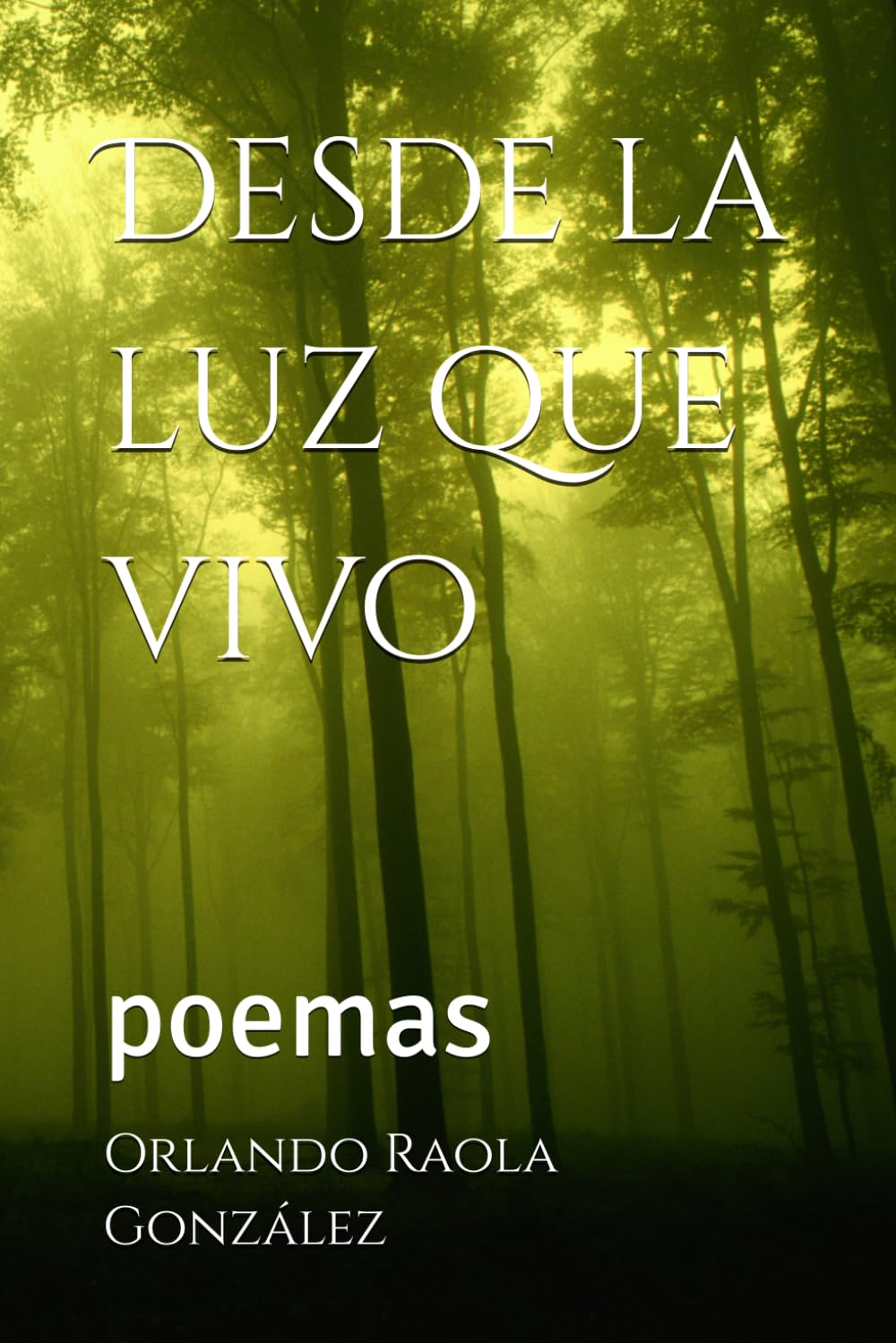 Desde la luz que vivo: poemas