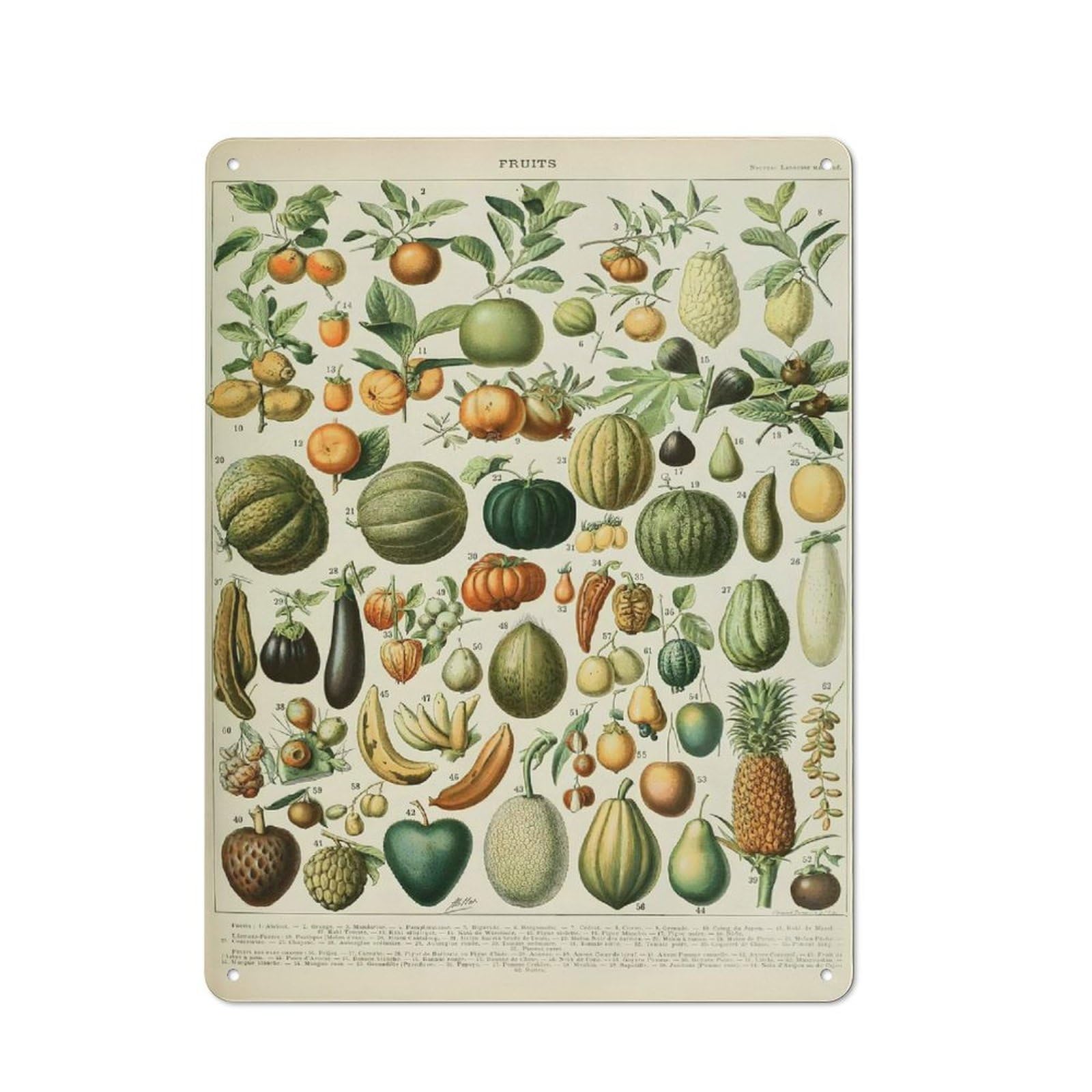 Junmoney Style-19 Retro Metal Wall Sign 40X30cm With Vintage Fruits For Home Bar Wall, A Decorative Gift For A Newly Furnished Home Bar