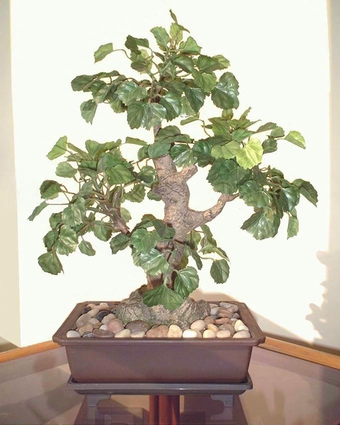 13" Polyscia Bonsai, Artificial Tree (Without Pot) Amazon.co.uk Garden