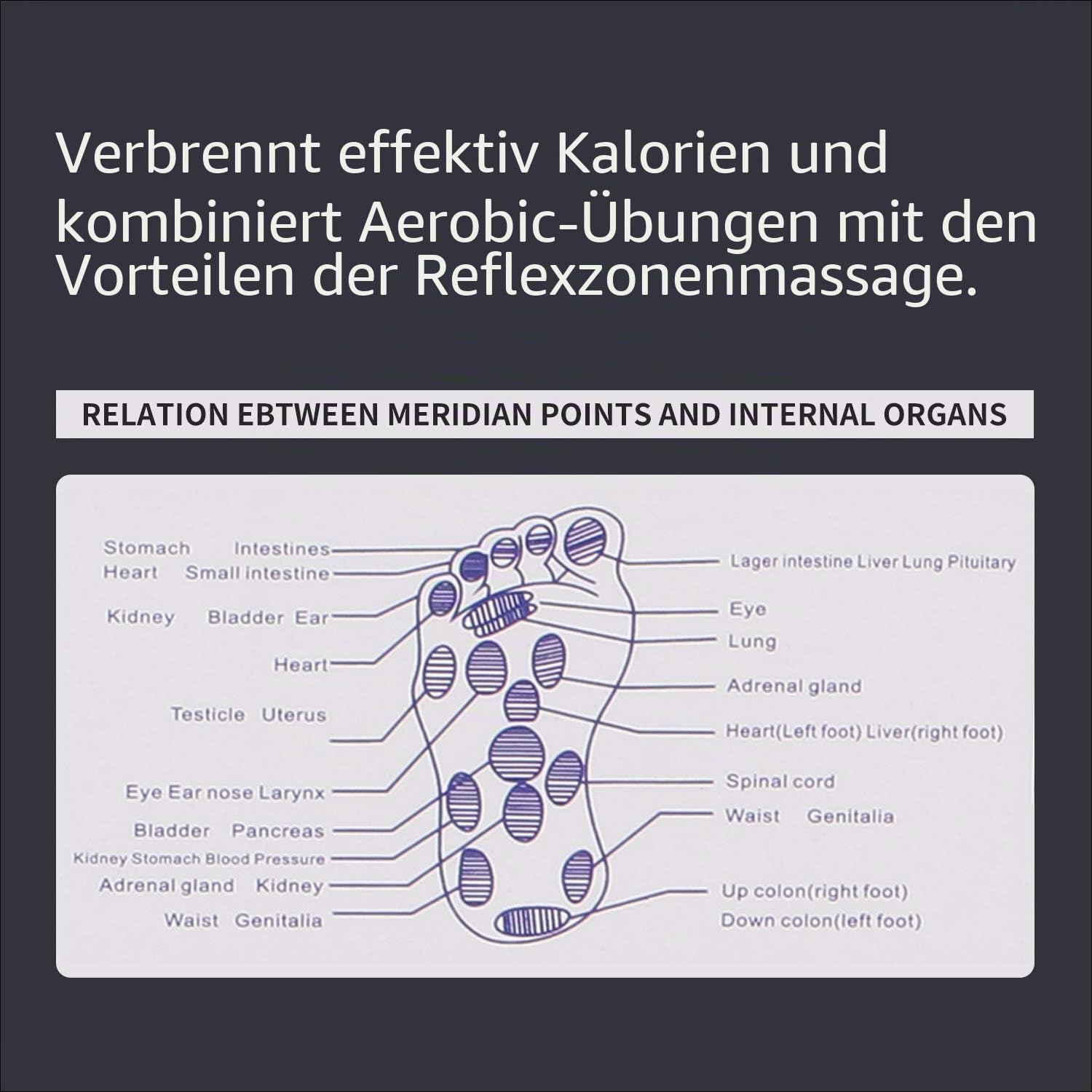 Übung Taillen-Drehscheibe Ab-Twister Brett Körper-Twister Sprunggelenk Körper-Aerobic-Übung Fuß-Übung Fitness-Twister Magnet Balance Drehbrett