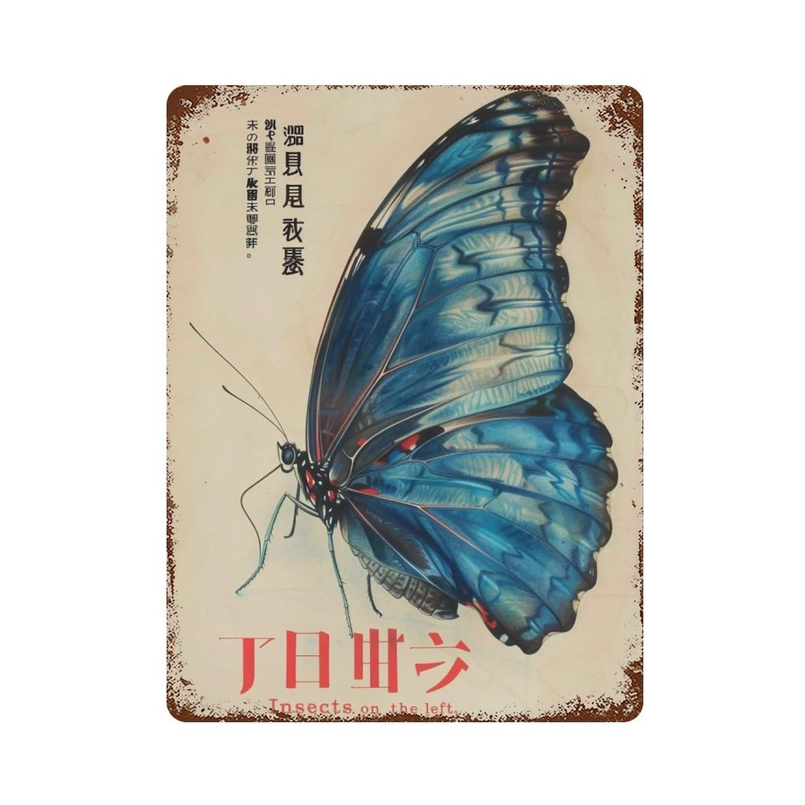 FHUYEURHRY Wings-of-the-Rising-Wind_01 Wall Decor Retro Iron Vintage Art Metal Tin Sign Poster Modern Home Cofffee Club Art Bar Shop Decorations Style 40x30cm