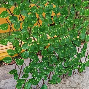 BESPORTBLE 8 Mini Recinzioni In Legno Per Giardini Delle Fate, Decorazione In Stile Fattoria Per Terrari E Case Delle Bambole - 3