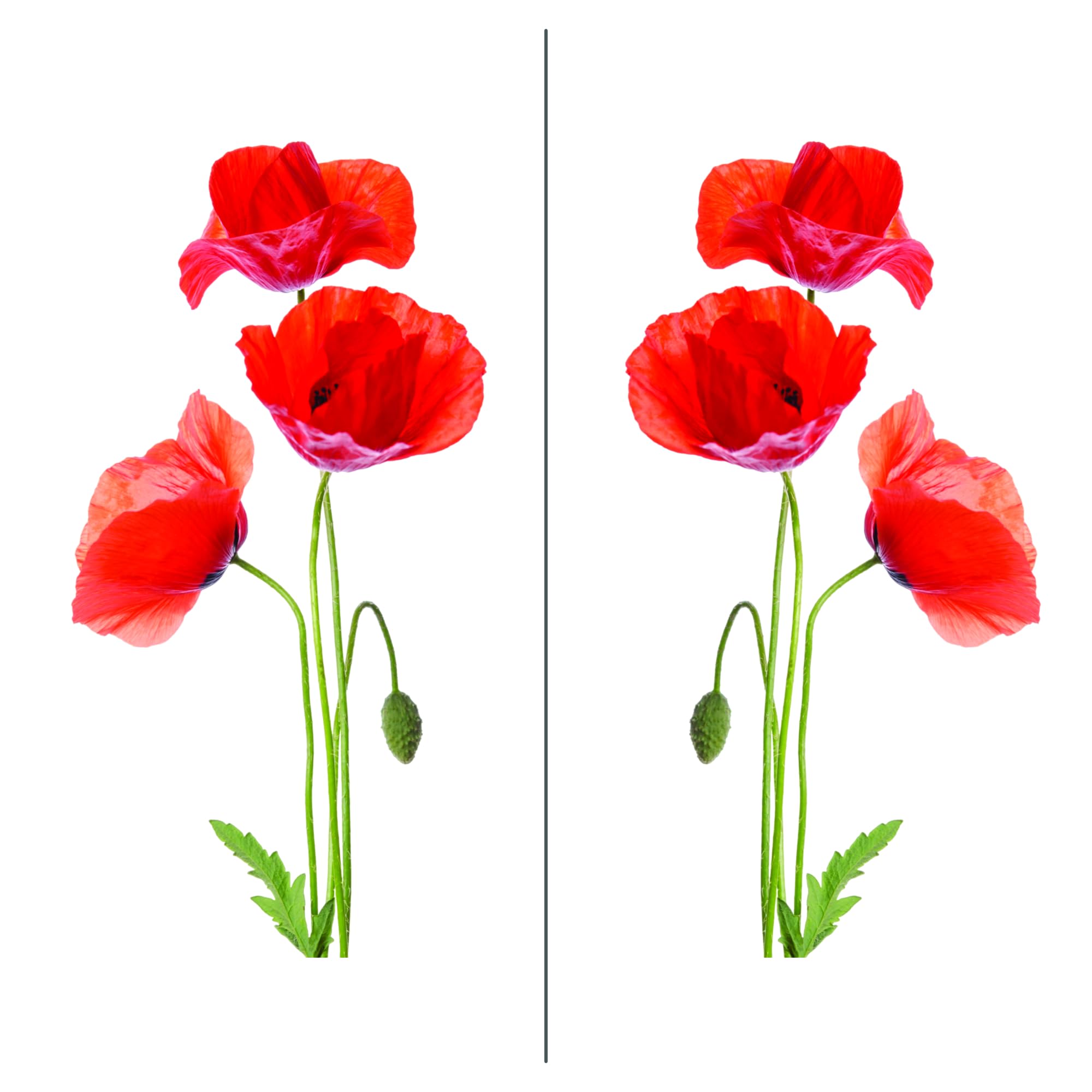 Stickers Muraux Coquelicots Rouges X2 – Grand Format 80x40 Cm, Déco Florale Élégante & Facile à Poser
