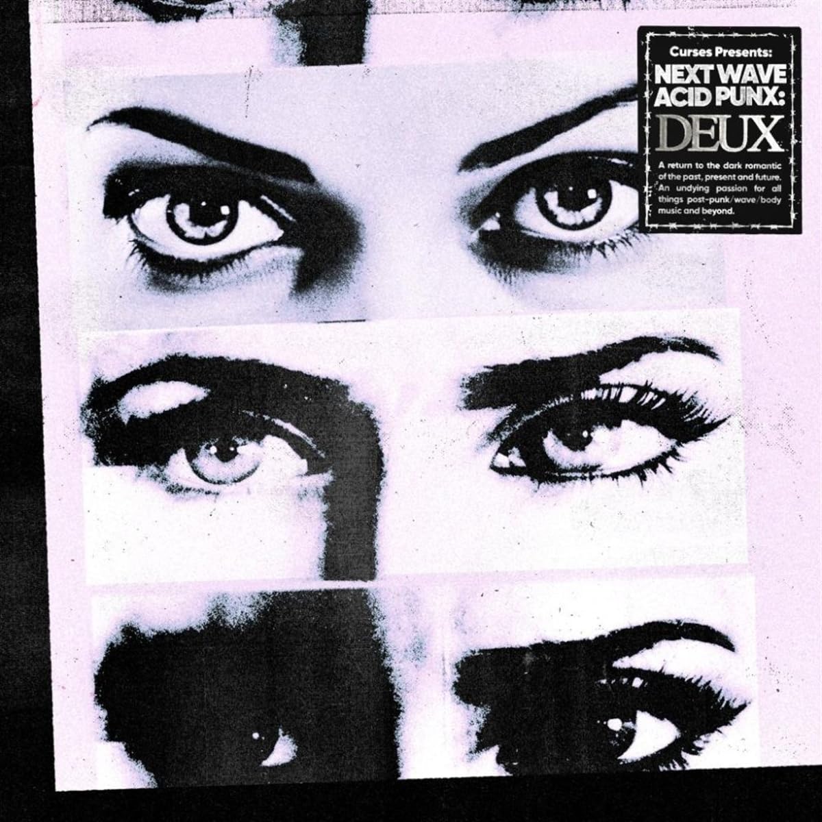 PRESENTS NEXT WAVE ACID PUNX DEUX
