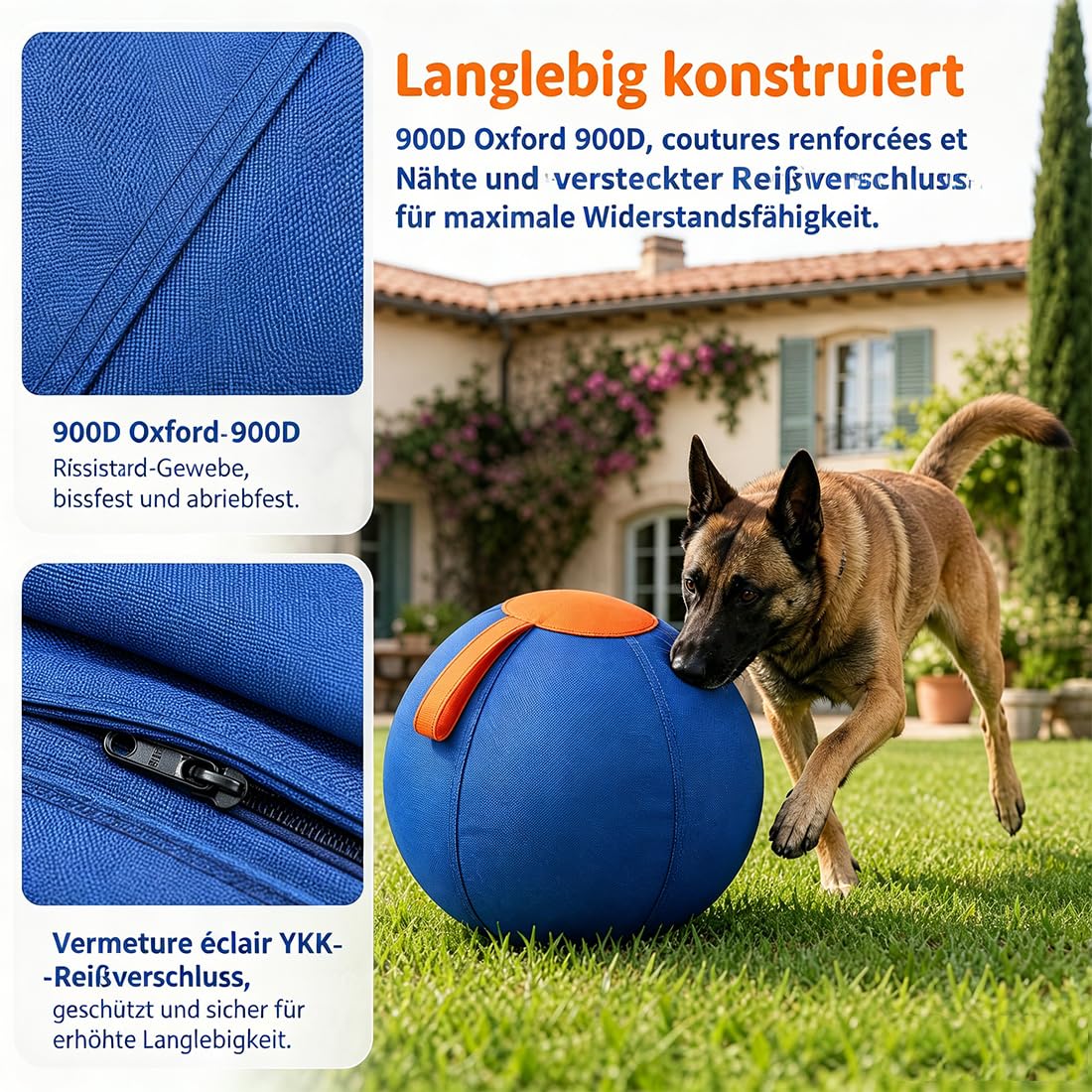Treibball für Hunde – 45/65 cm Aufblasbarer Bissfester Herding Ball mit Tragegriff, Reißfestes Interaktives Hundespielzeug für Hütehunde & Große Rassen, Training und Auslauf (B, 65CM)
