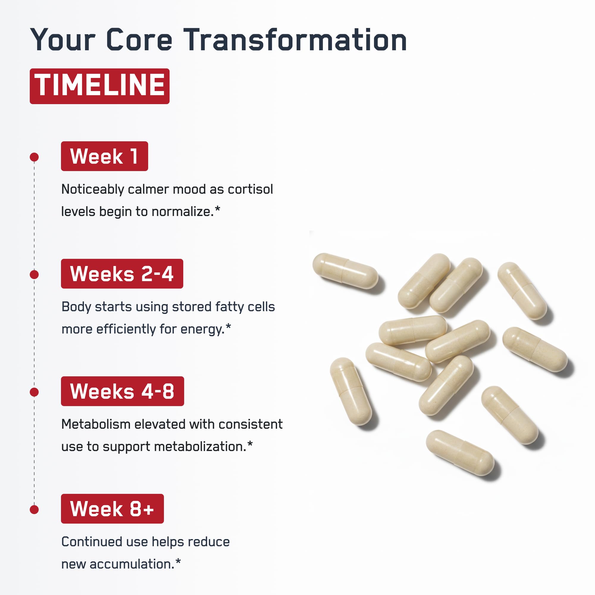 does l carnitine lower cortisol Amazon.com: SteelFit Steel Core, Stimulant-Free Fat Burner & Weight Loss  Pills Supplement - Cortisol, Belly Fat, Metabolism Booster for Men & Women  - L-Carnitine, Morosil, Ashwagandha, Alpha Lipoic Acid