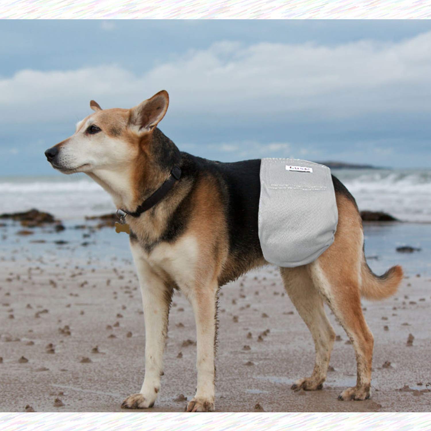 Luxja Wiederverwendbare Hundewindeln für Rüden (3 Stück), waschbares Welpen-Bauchband, (schwarz + grau + blau, XXL)