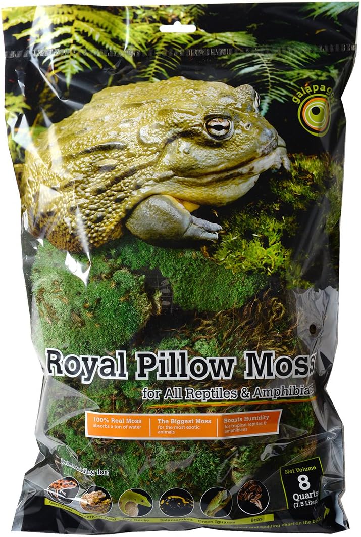 Galapagos(05254 Royal Clumps of Real Pillow, Natural, 8 quart