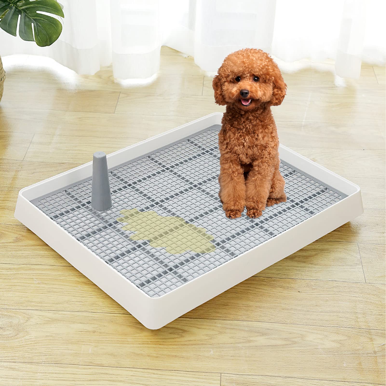 Töpfchen für große und kleine Hunde, aus Kunststoff, zum Trainieren