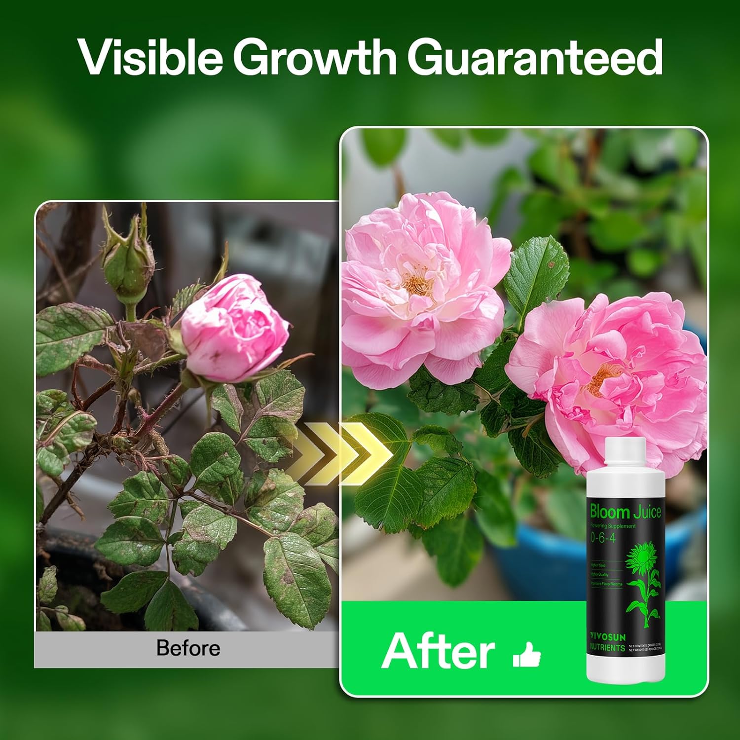 VIVOSUN Bloom Juice (0-6-4), Flowering Supplement Liquid Fertilizer for Flowering Stage, Concentrated Plant Food for All Flowering Plants, 8 Ounces - Image 4