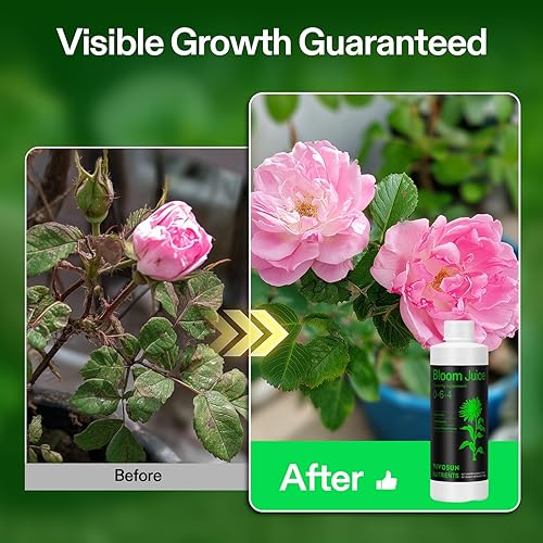 Miniatura 8 de VIVOSUN NutriBoost (0-0-1) y Bloom Juice (0-6-4), suplemento de floración fertilizante líquido para etapa de floración, alimento concentrado para