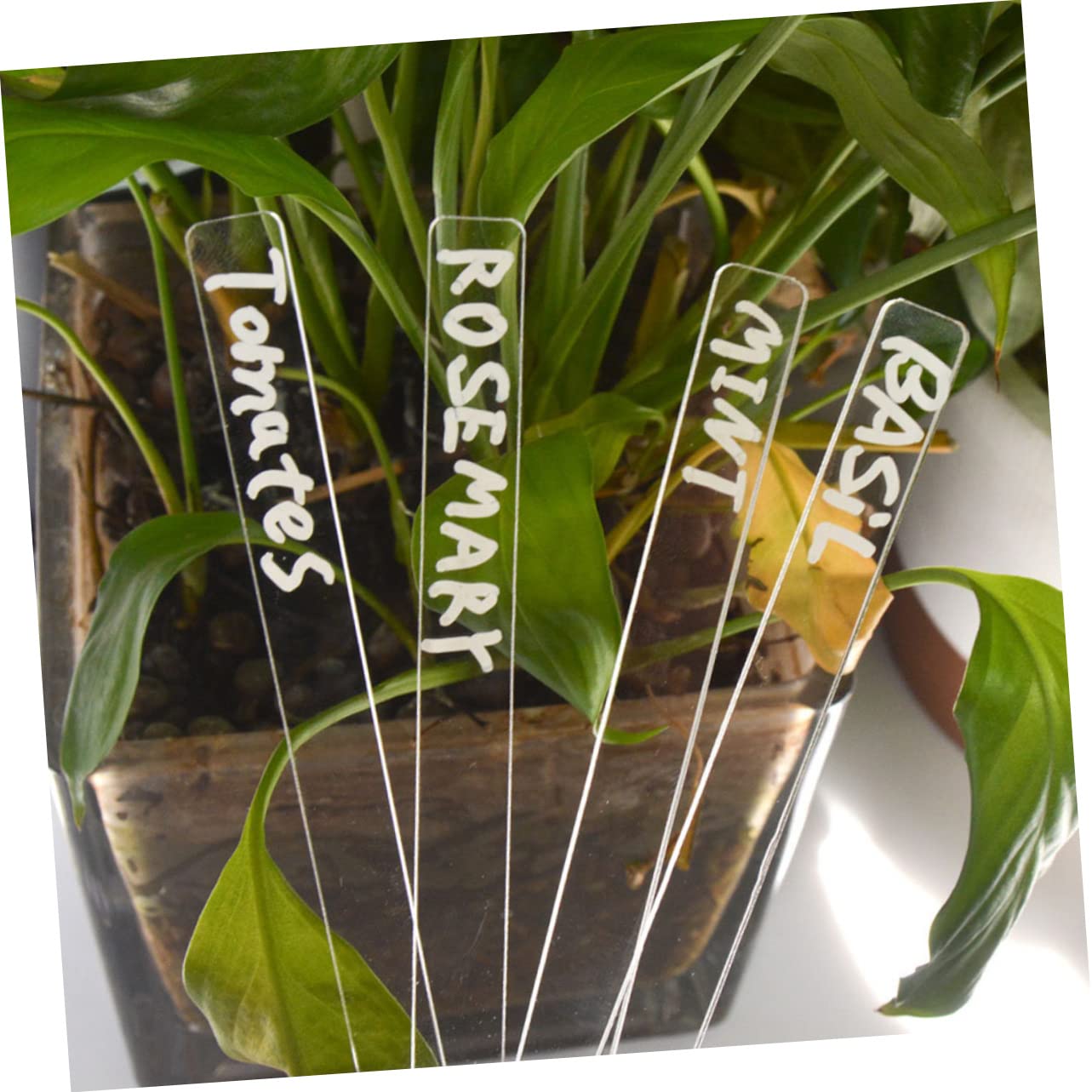 Lot De 24 Étiquettes Acrylique Pour Plantes - Piquets Transparents Résistants Jardin